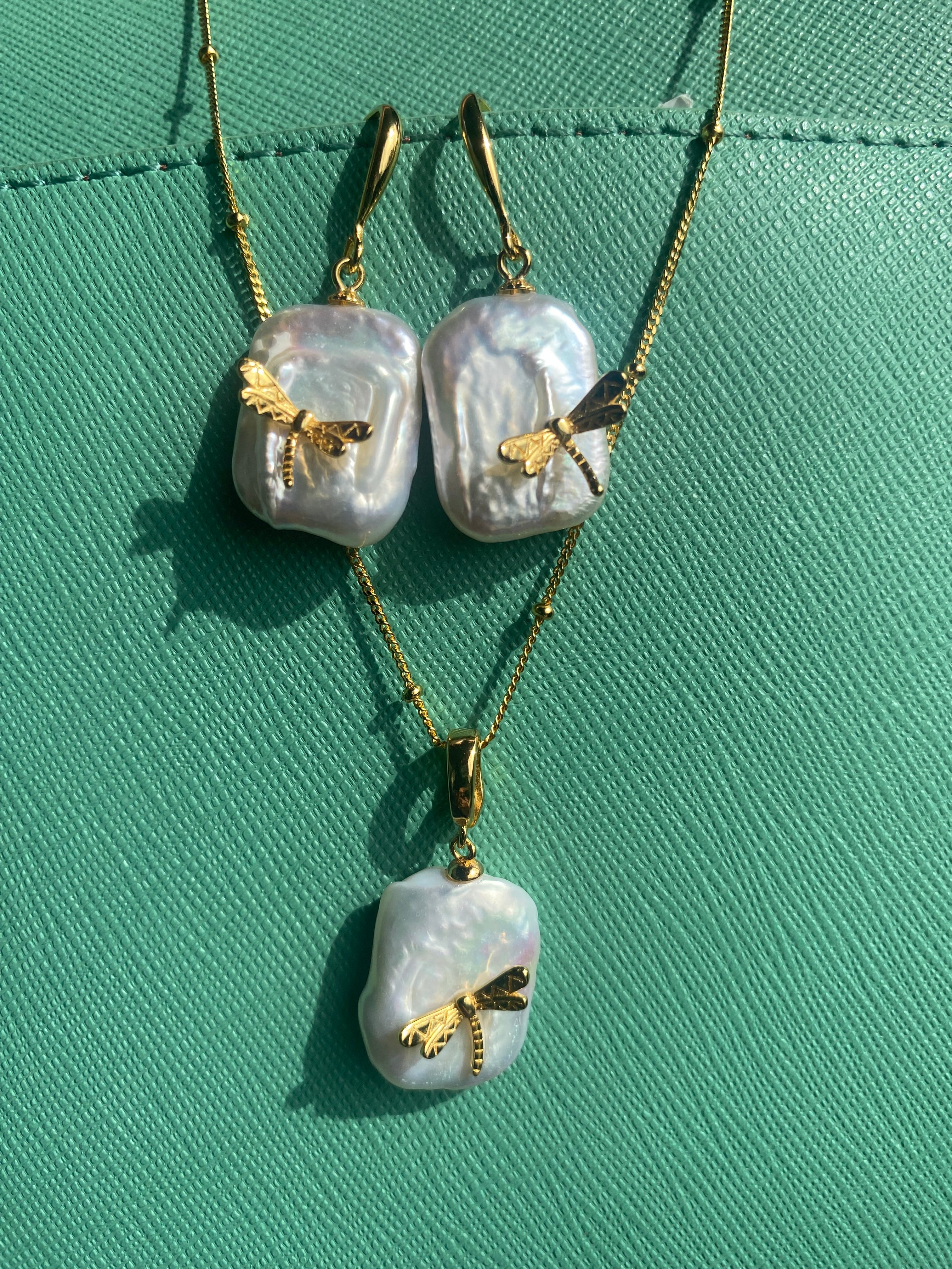 Dragonfly collection